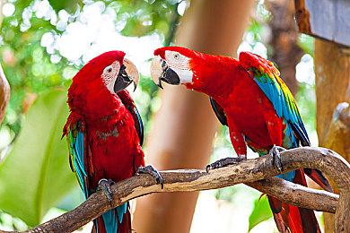 《中国式相亲2》年度总结 2023年上半年上线